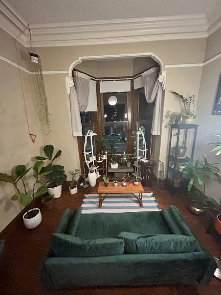 Living room with bay window arch and plants