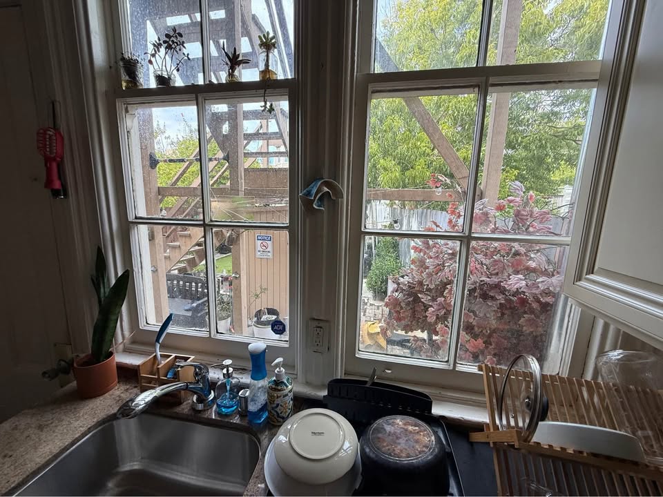 Kitchen window backyard view