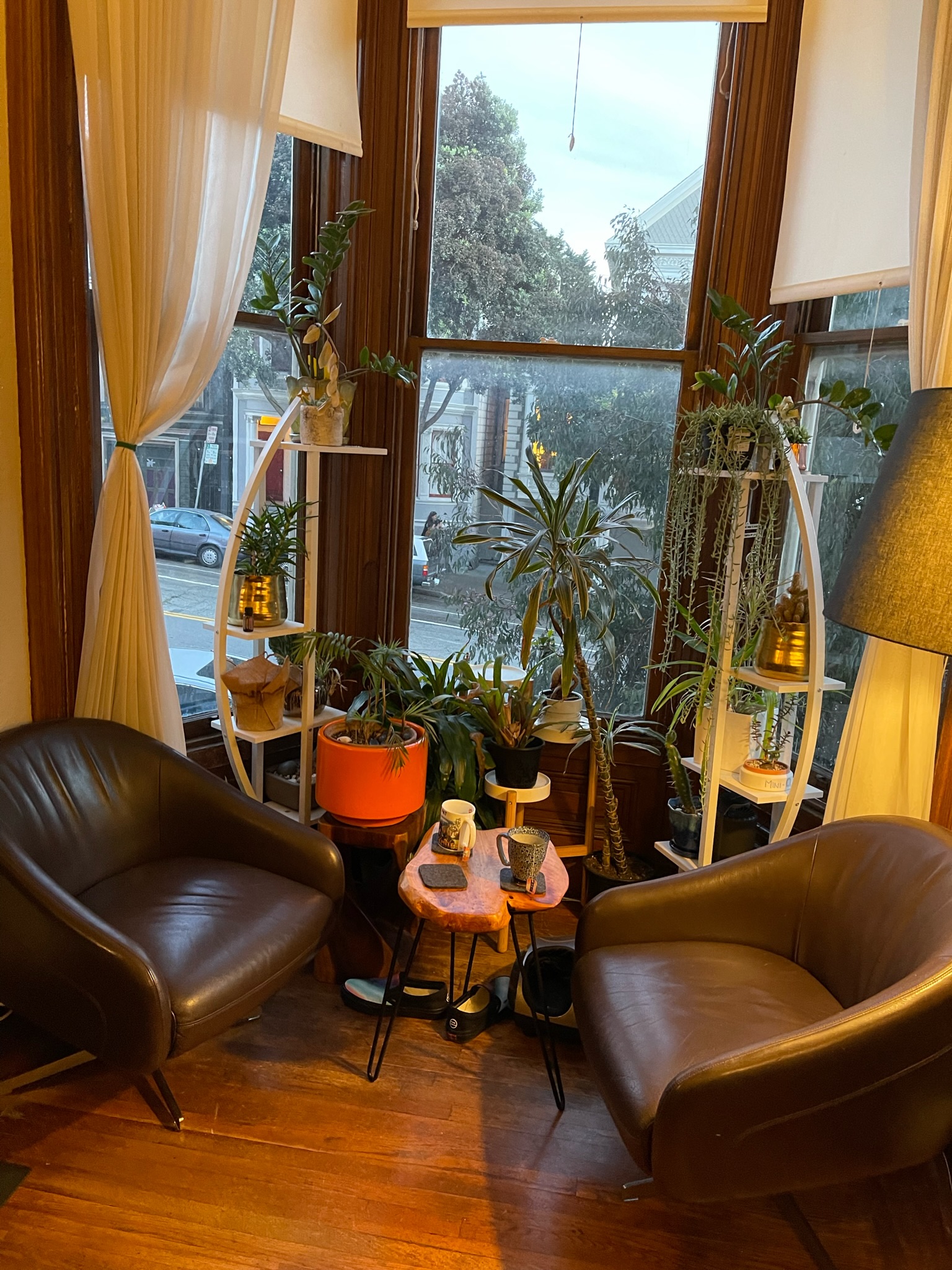 Bay window reading nook with plants