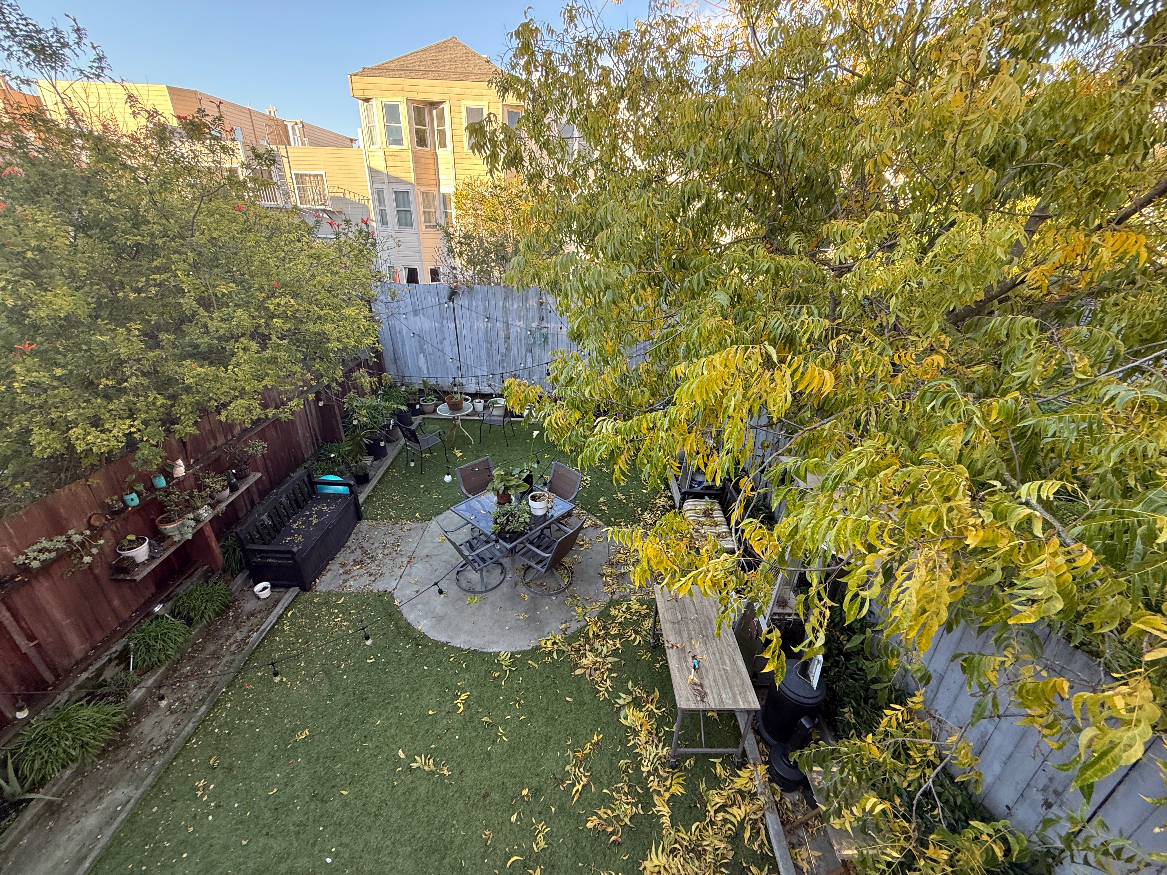 Backyard garden with outdoor seating and string lights