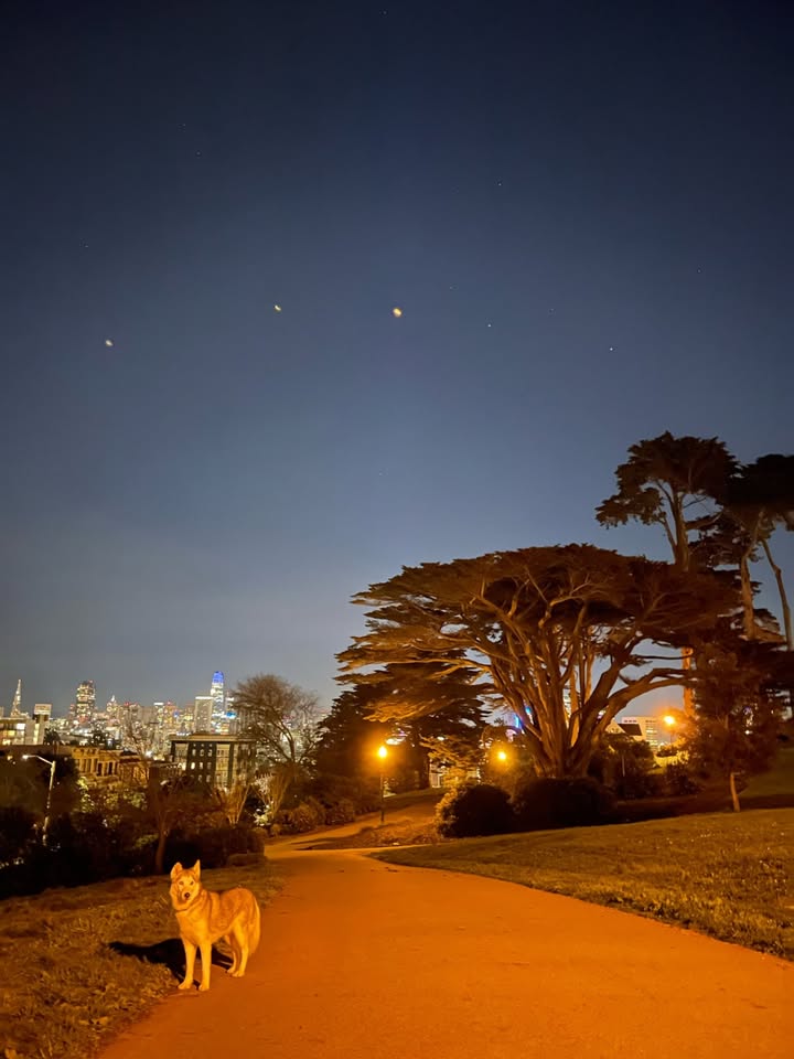Night view at Alamo Square with SF skyline